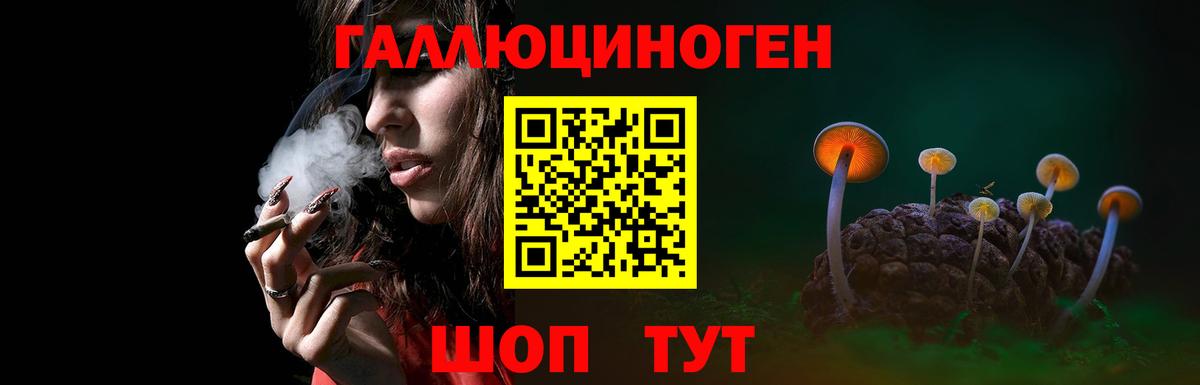 Псилоцибиновые грибы Psilocybe  Вход с VPN  Галлюциногенные грибы прущие грибы  Новокуйбышевск 